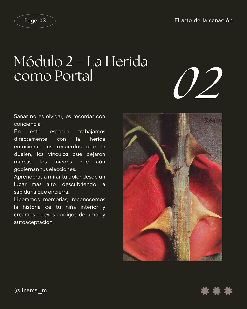 Mujer Origen / acompañamiento de sanación profunda